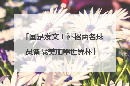 国足发文！补招两名球员备战美加墨世界杯