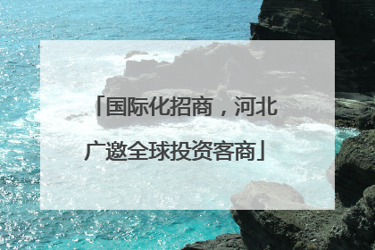 国际化招商，河北广邀全球投资客商