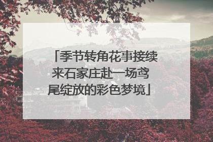 季节转角花事接续 来石家庄赴一场鸢尾绽放的彩色梦境