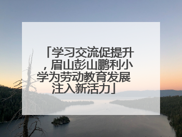 学习交流促提升，眉山彭山鹏利小学为劳动教育发展注入新活力