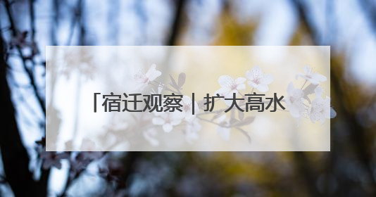 宿迁观察｜扩大高水平对外开放步履铿锵