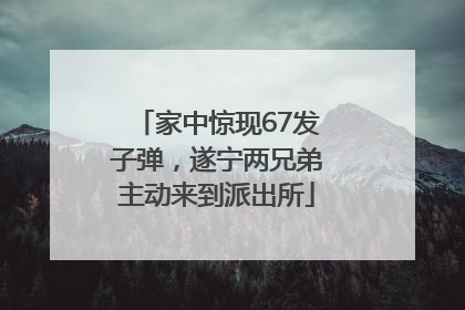 家中惊现67发子弹，遂宁两兄弟主动来到派出所