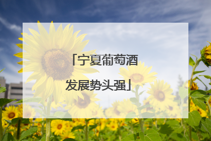 宁夏葡萄酒发展势头强
