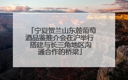 宁夏贺兰山东麓葡萄酒品鉴推介会在沪举行 搭建与长三角地区沟通合作的桥梁