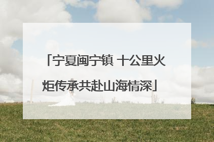宁夏闽宁镇 十公里火炬传承共赴山海情深