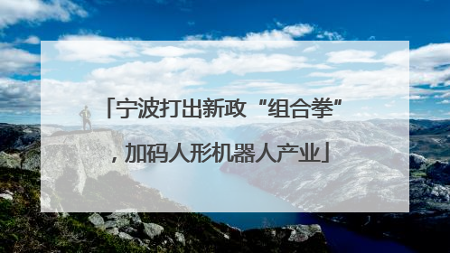 宁波打出新政“组合拳”，加码人形机器人产业