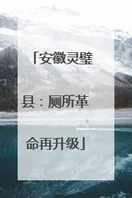 安徽灵璧县：厕所革命再升级