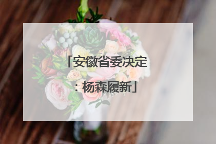 安徽省委决定：杨森履新