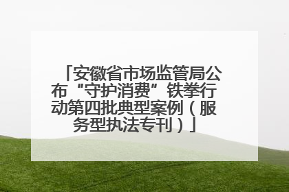 安徽省市场监管局公布“守护消费”铁拳行动第四批典型案例（服务型执法专刊）