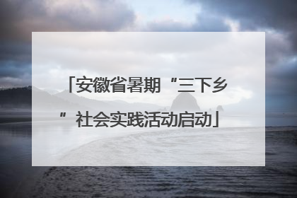 安徽省暑期“三下乡”社会实践活动启动