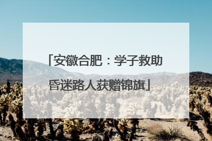 安徽合肥：学子救助昏迷路人获赠锦旗