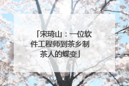 宋琦山：一位软件工程师到茶乡制茶人的蝶变