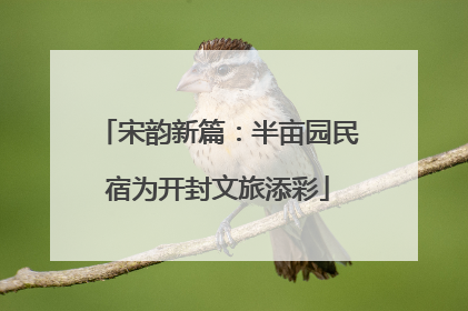 宋韵新篇：半亩园民宿为开封文旅添彩