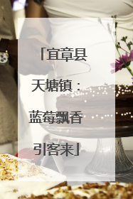 宜章县天塘镇：蓝莓飘香引客来