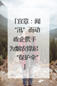 宜章：闻“汛”而动 政企携手为烟农撑起“保护伞”