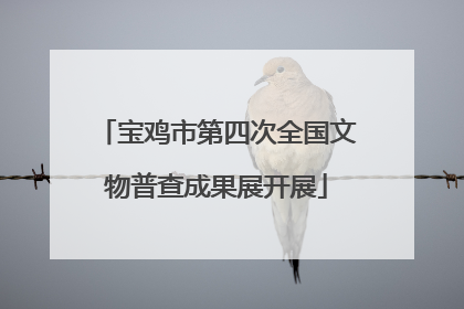 宝鸡市第四次全国文物普查成果展开展