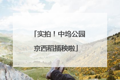 实拍！中坞公园京西稻插秧啦
