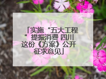 实施“五大工程”提振消费 四川这份《方案》公开征求意见