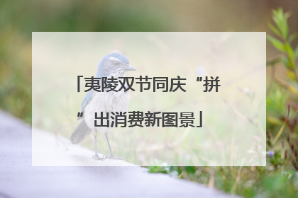 夷陵双节同庆“拼”出消费新图景