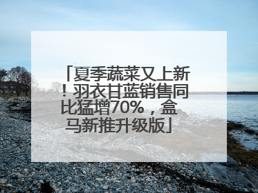 夏季蔬菜又上新！羽衣甘蓝销售同比猛增70%，盒马新推升级版
