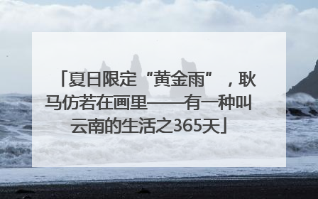 夏日限定“黄金雨”，耿马仿若在画里——有一种叫云南的生活之365天