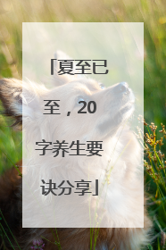 夏至已至，20字养生要诀分享