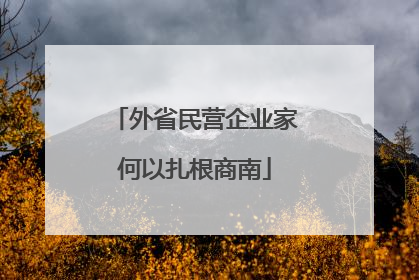 外省民营企业家何以扎根商南