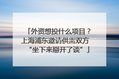 外资想投什么项目？上海浦东邀请供需双方“坐下来掰开了谈”