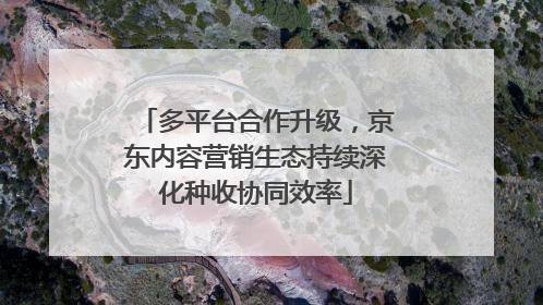 多平台合作升级，京东内容营销生态持续深化种收协同效率