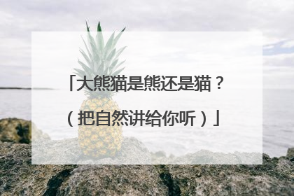 大熊猫是熊还是猫？（把自然讲给你听）