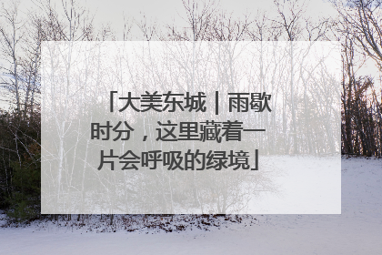大美东城｜雨歇时分，这里藏着一片会呼吸的绿境