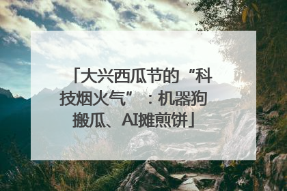 大兴西瓜节的“科技烟火气”：机器狗搬瓜、AI摊煎饼