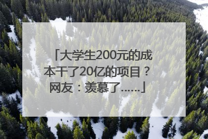 大学生200元的成本干了20亿的项目？网友：羡慕了……