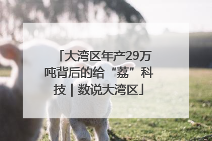 大湾区年产29万吨背后的给“荔”科技｜数说大湾区