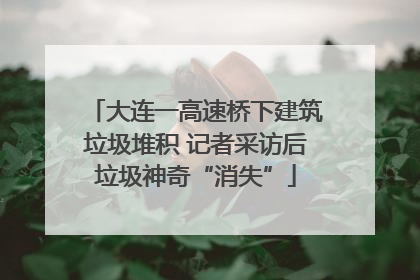 大连一高速桥下建筑垃圾堆积 记者采访后垃圾神奇“消失”