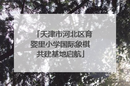 天津市河北区育婴里小学国际象棋共建基地启航