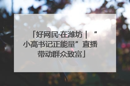 好网民·在潍坊｜“小高书记正能量”直播 带动群众致富