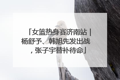 女篮热身赛济南站｜杨舒予、韩旭先发出战，张子宇替补待命