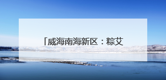 威海南海新区：粽艾传温情 龙舟竞端午
