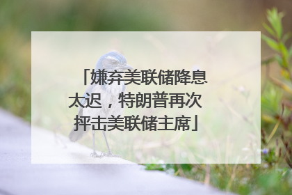 嫌弃美联储降息太迟，特朗普再次抨击美联储主席