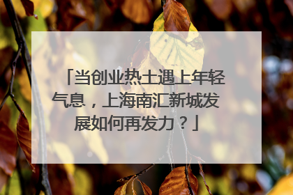 当创业热土遇上年轻气息，上海南汇新城发展如何再发力？