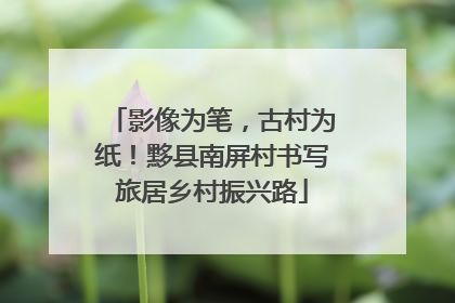 影像为笔，古村为纸！黟县南屏村书写旅居乡村振兴路