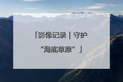 影像记录｜守护“海底草原”