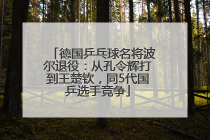 德国乒乓球名将波尔退役：从孔令辉打到王楚钦，同5代国乒选手竞争