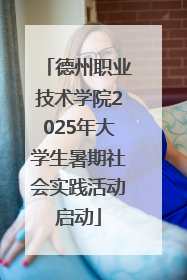 德州职业技术学院2025年大学生暑期社会实践活动启动
