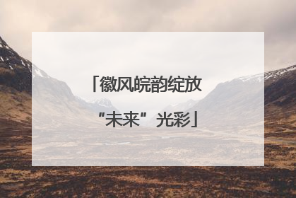 徽风皖韵绽放“未来”光彩
