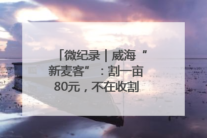 微纪录｜威海“新麦客”：割一亩80元，不在收割就是在收割路上