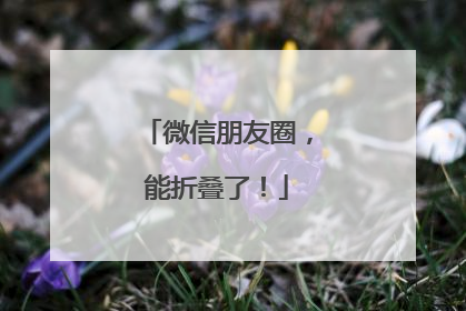 微信朋友圈，能折叠了！