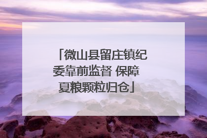 微山县留庄镇纪委靠前监督 保障夏粮颗粒归仓