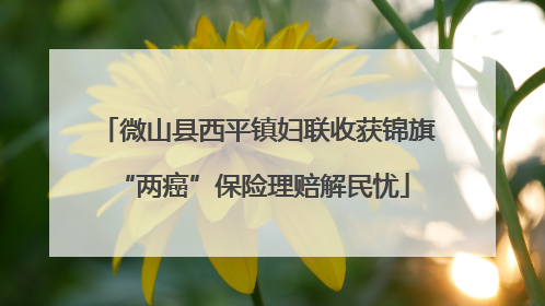 微山县西平镇妇联收获锦旗 “两癌”保险理赔解民忧